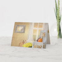 gato de outono com janela para amigo