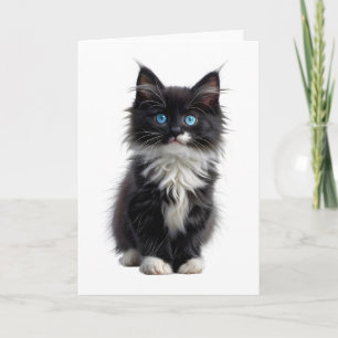 Cartão Gato de pelo comprido preto e branco olhos azuis e