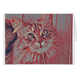 Cartão Gato de racum de Maine