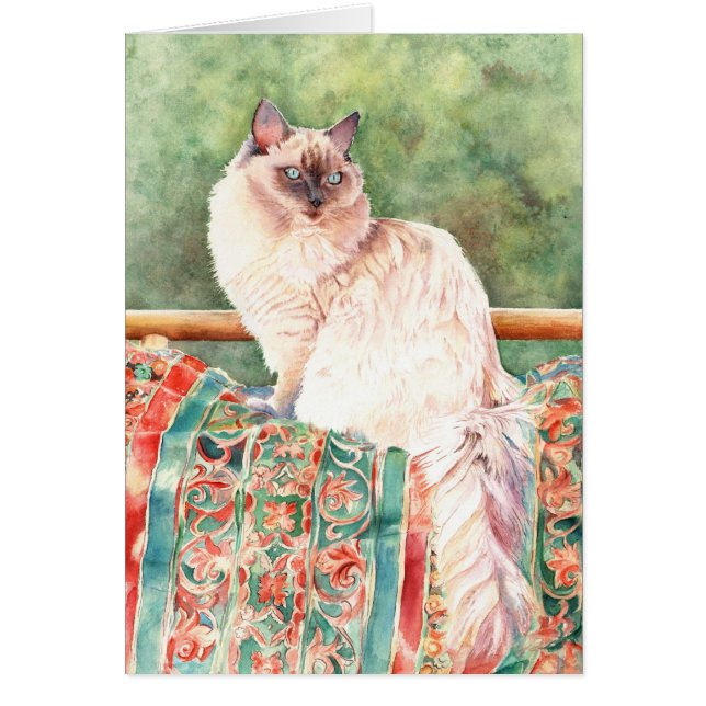 Cartão Gato de "Ragdoll" (Frente)