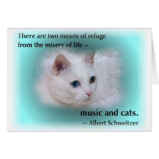 Cartão Gato de Schweitzer