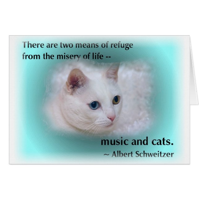 Cartão Gato de Schweitzer (Frente Horizontal)