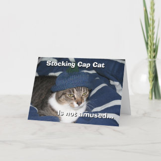 Cartão Gato de touca não está nada feliz
