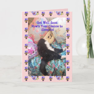 Cartão Gato De Tuxedo Gato Engraçado Gato Dormindo Gato 