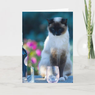 Cartão Gato de vinho