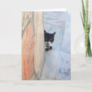 CARTÃO GATO DETETIVE ATRÁS DA PAREDE DE PEDRA