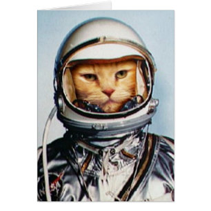 Cartão Gato do Astronauta Retroativo