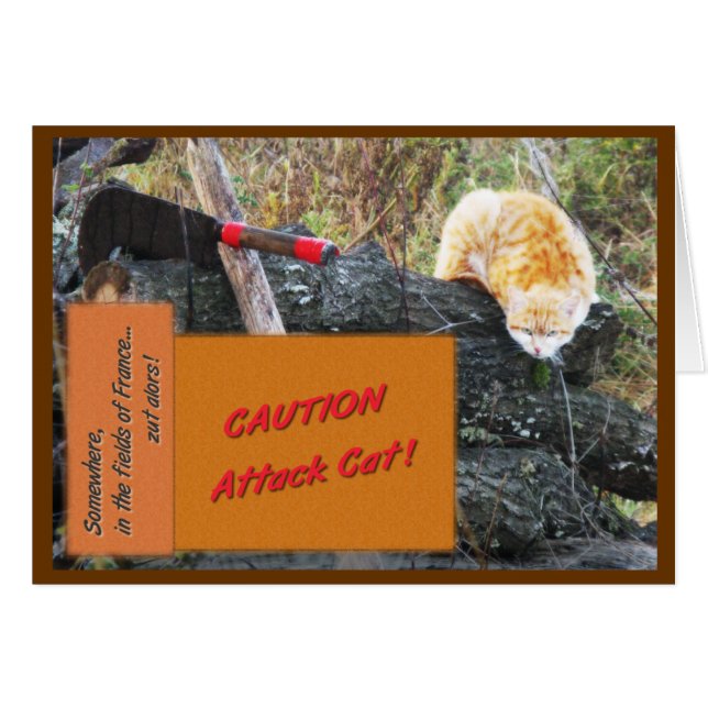 Cartão Gato do ataque (Frente Horizontal)