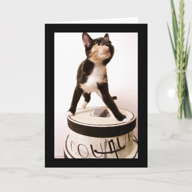 Cartão Gato do Couture (Frente)