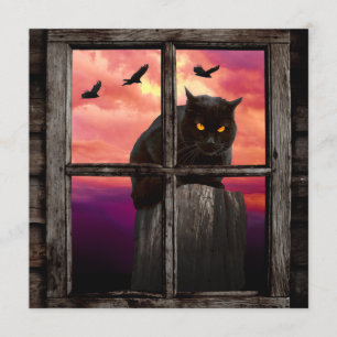 Cartão Gato do Dia das Bruxas