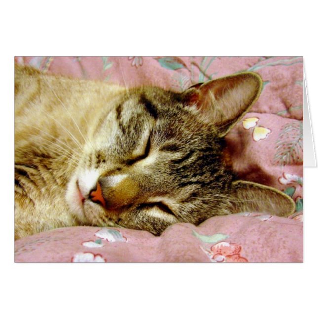 Cartão Gato Dormindo (Frente Horizontal)