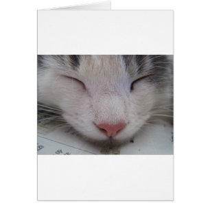 Cartão Gato Dormindo