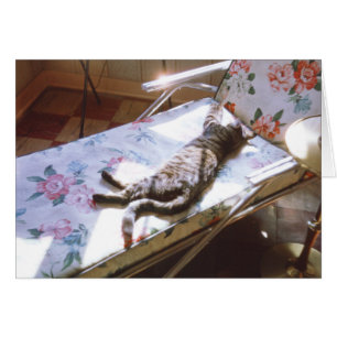 Cartão Gato Dormindo na Sala de Chuvas Retro Kitten Pictu