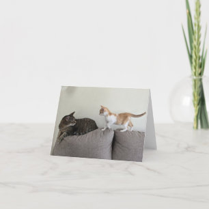 Cartão Gato e gatinho