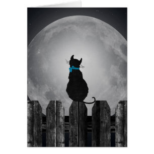 Cartão Gato e Lua cheia