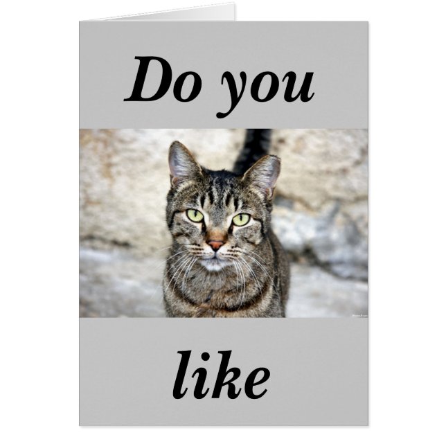 Cartão Gato Egípcio (Frente)