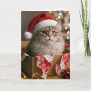 Cartão Gato em uma Caixa de Presente de Natal