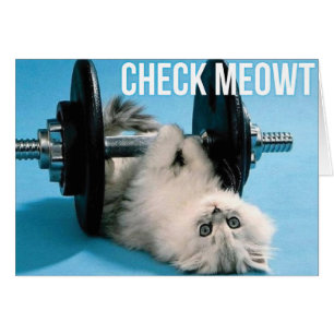 Cartão Gato engraçado bonito do Gym - verifique Meowt