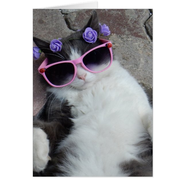 Cartão Gato engraçado com óculos rosa (Frente)