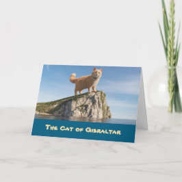 Cartão Gato Engraçado de Gibraltar