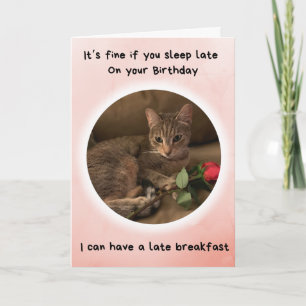 Cartão Gato Engraçado diz que você pode dormir tarde no s