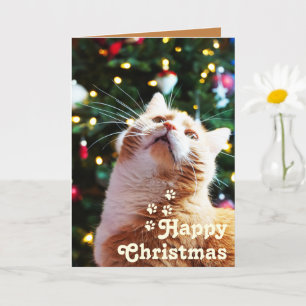 Cartão Gato Engraçado e Árvore Verde&Feliz Natal Único