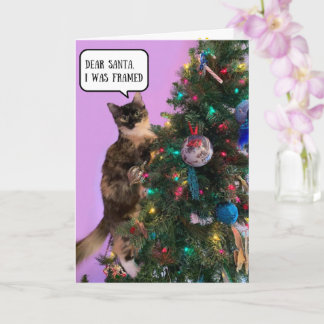 Cartão Gato engraçado em apuros com o Papai Noel 