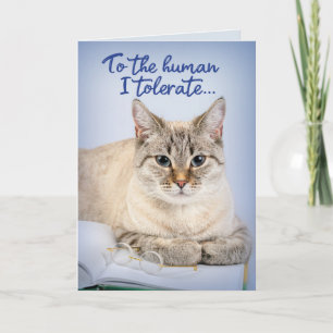 Cartão Gato Engraçado - Para O Humano Que Toleram Aniver