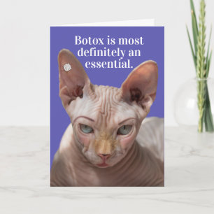 Cartão Gato Enrugado Enrugado Enrugado - Botox É Essenci