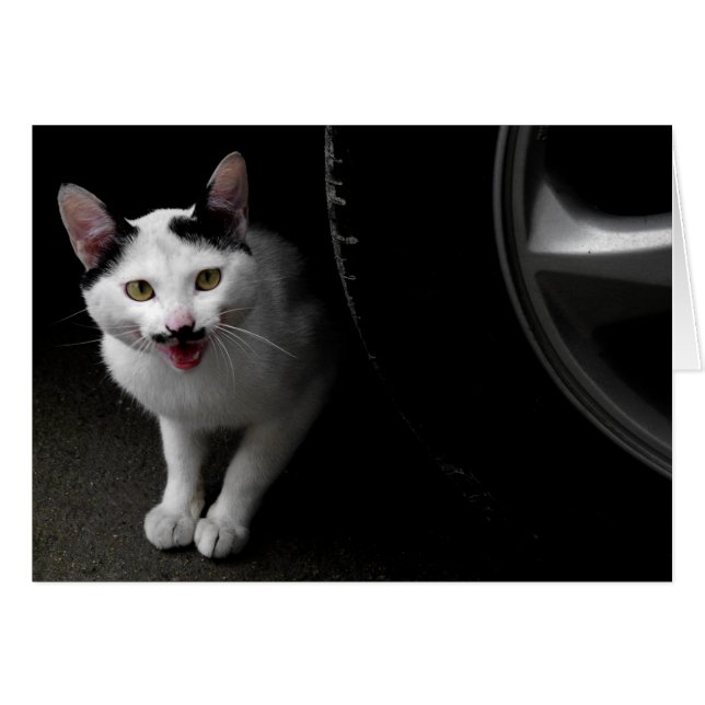 Cartão Gato Estranho com bigode (Frente Horizontal)