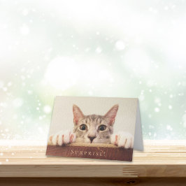 Cartão Gato Feliz Aniversário Rosto Surpresa Engraçado