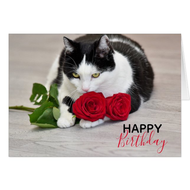 Cartão Gato fofo com a rosa vermelha (Frente Horizontal)
