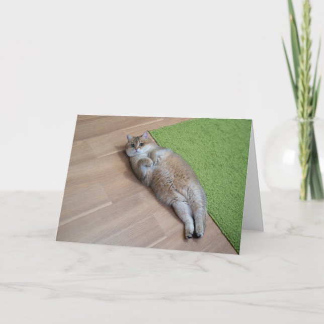 Cartão Gato fofo Hosico (Frente)