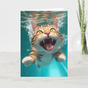 Cartão Gato Fofo Nadando e Mergulhando na Piscina em Bran