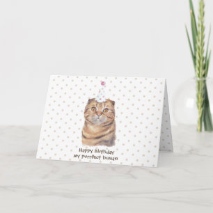 Cartão Gato Fofo Scottish Fold de Cabelo Curto com Chapéu