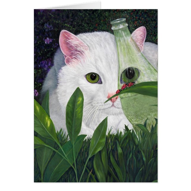 Cartão Gato, Garrafa de Coca-Cola e Damybugs (Frente)