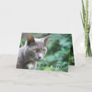 Cartão Gato Gatinho Engraçado