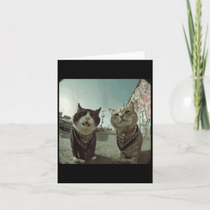 Cartão Gato Gráfico Engraçado Gângster Engraçado _2