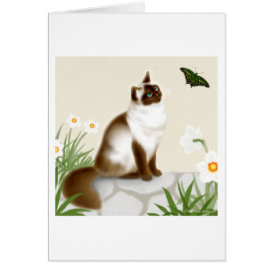 Cartão Gato Himalaia curioso