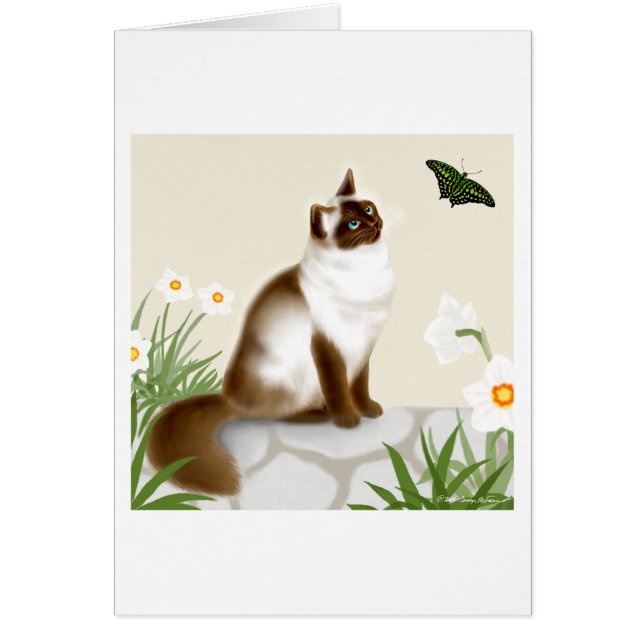 Cartão Gato Himalaia curioso (Frente)