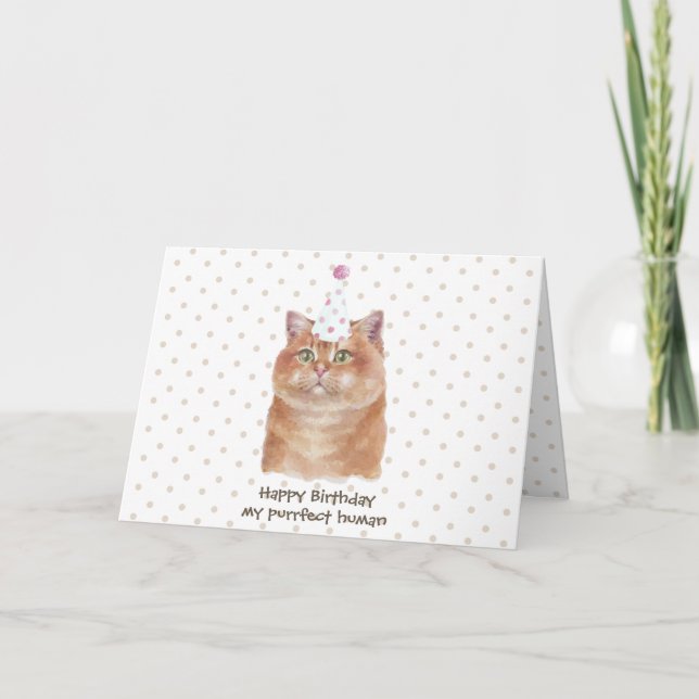 Cartão Gato Hosico com Chapéu de Festa (Frente)
