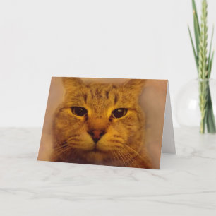 Cartão Gato Impaciente Bossy Fica Bem