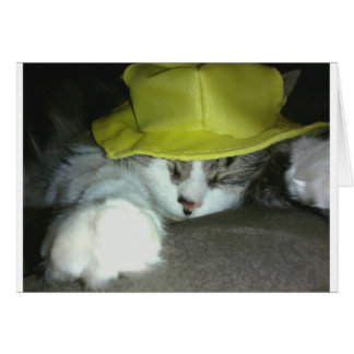 CARTÃO GATO KITTY