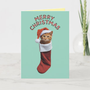 Cartão Gato Laranja Fofo Natal Férias