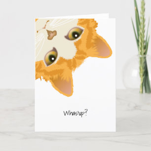 Cartão Gato Laranja para Baixo