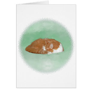 Cartão Gato Laranja Sonolento