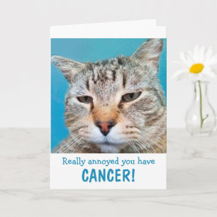 Cartão Gato Louco No Cancer Engraçado