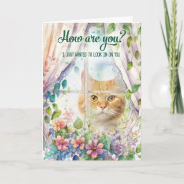 Cartão Gato Lover Garden Window Fica Bem