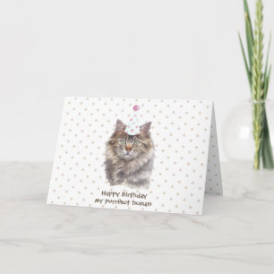 Cartão Gato Maine coon chapéu de festa comemorar aniversá