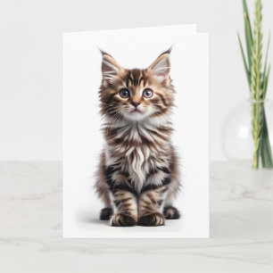 Cartão Gato Maine Coon Fofo de Cabelo Comprido Cumpriment